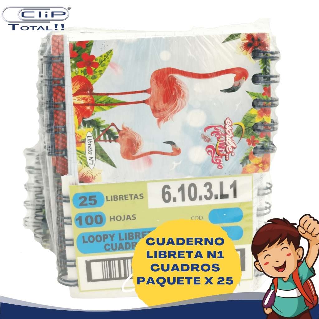 CUADERNO LIBRETA N1 CUADROS ESCRIBE X25U PAQUETE