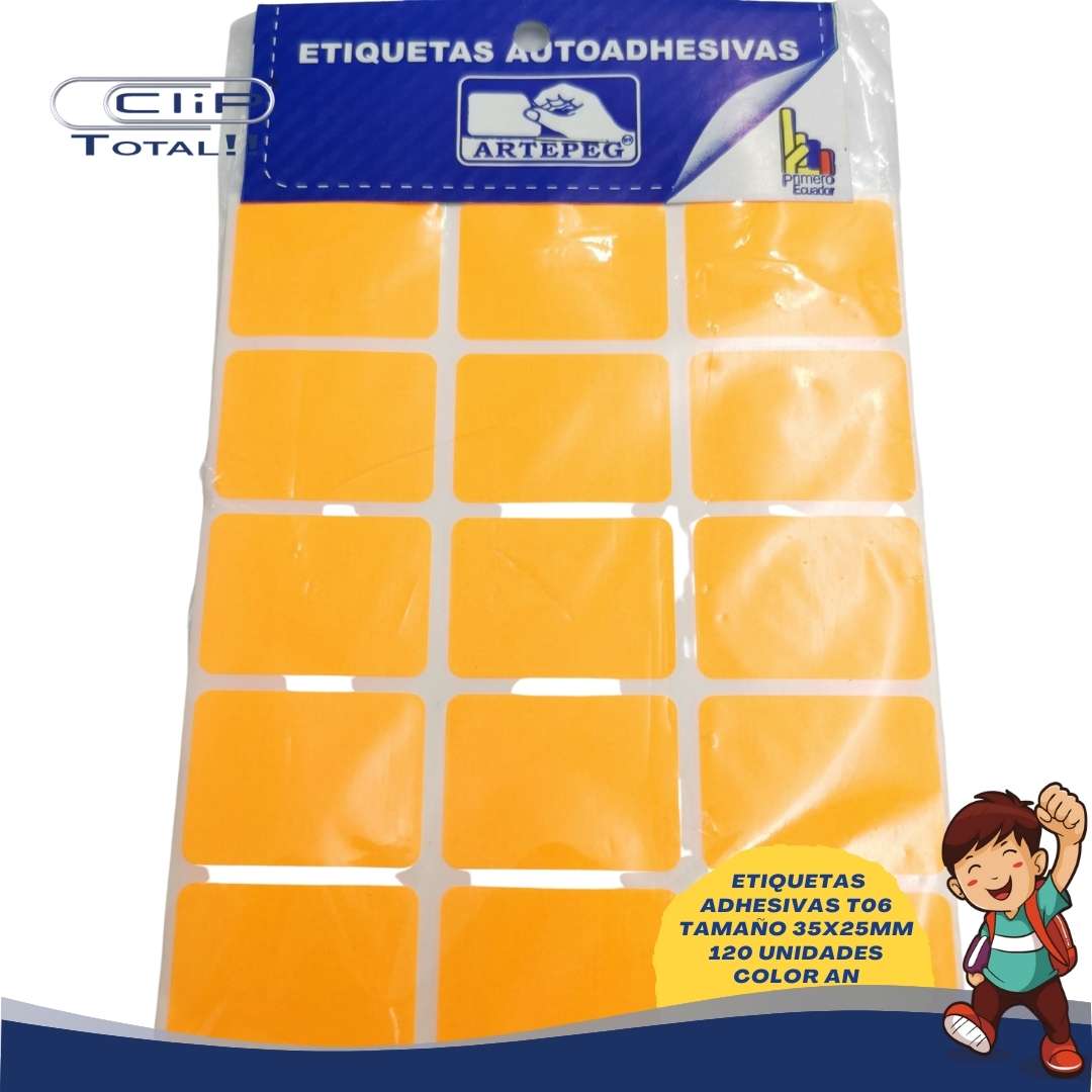 ETIQUETAS ADHESIVAS PAQUETE T06 25X35MM 120 UNIDADES COLOR AN