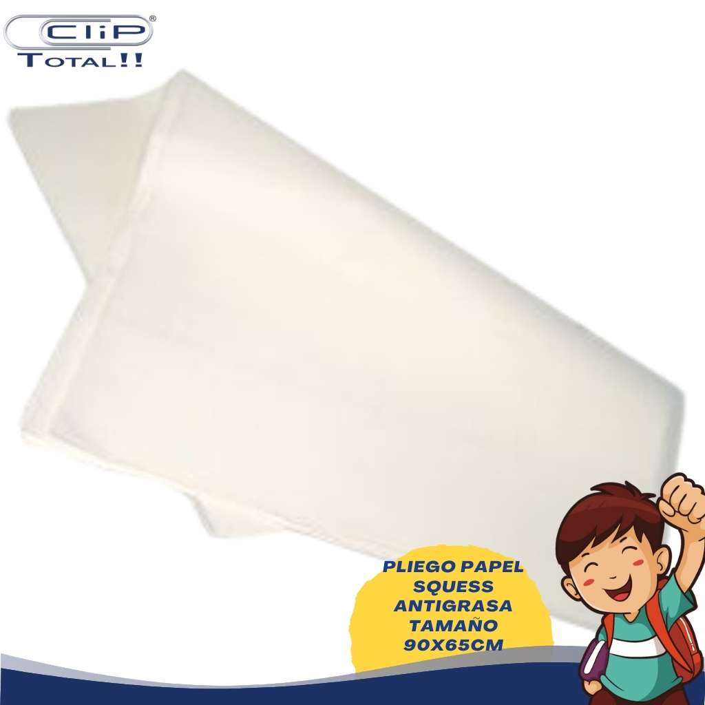 PLIEGO PAPEL SQUESS ANTIGRASA 38GR 65X90CM